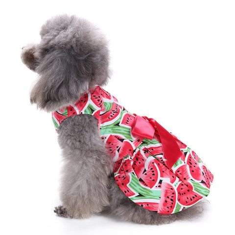 dog clothes for small dogs summer puppy chihuahua dog